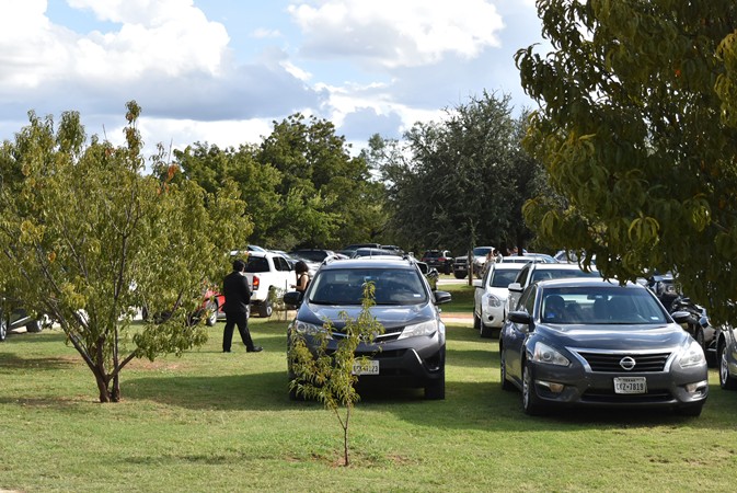 "Parking Spaces Around Trees"