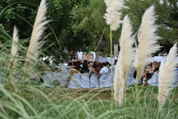 "And Pampas Grass Which"