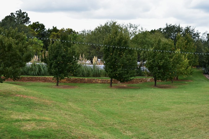 "Pear Trees Along Bridal Walkway"